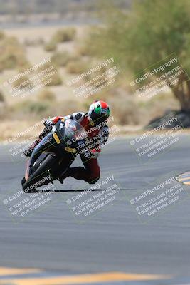media/May-14-2023-SoCal Trackdays (Sun) [[024eb53b40]]/Turn 5 Tree of Life (1125am)/